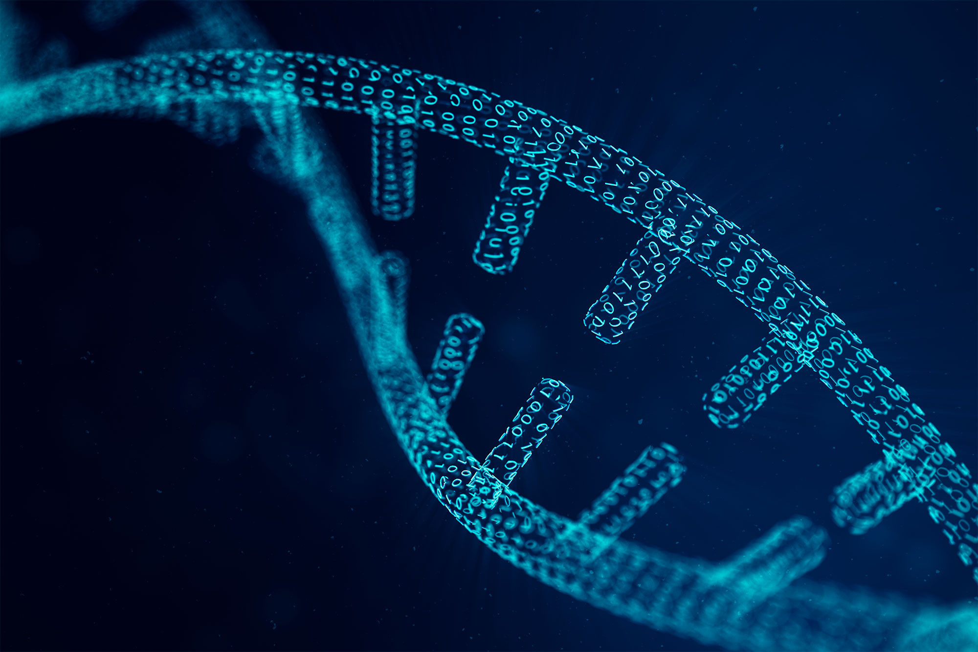 binary dna